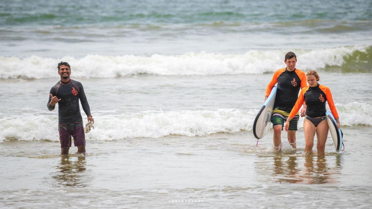 فندق Surf'N Lanka - Surf School فيليغاما المظهر الخارجي الصورة